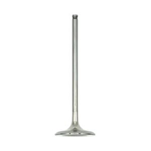 Valvola Di Aspirazione 2A000178 per V4