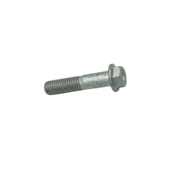 Flanged TE Screw M10x45 2b006609
