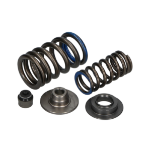RSV4 Intake Valve Spring Kit 2011-2016 - Part No. 2R000037