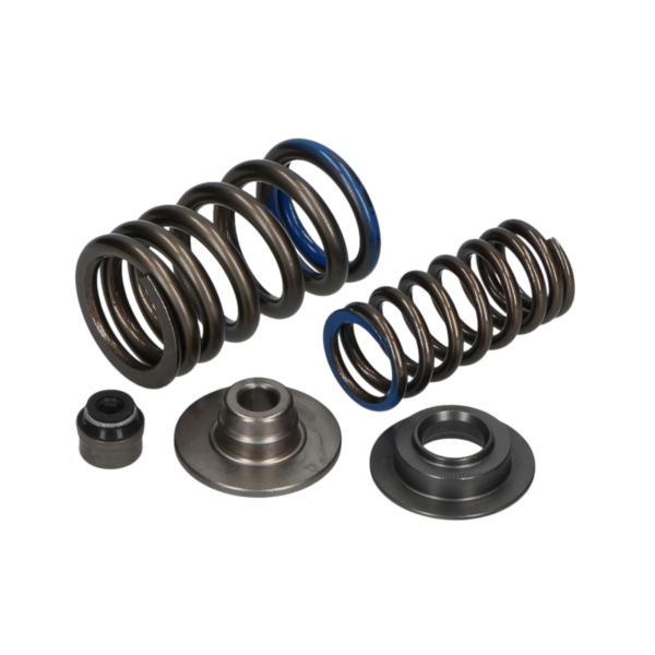 kit molla valvola d'aspirazione RSV4 2011-2016 art 2R000037