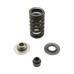 RSV4 Exhaust Valve Spring Kit 2009-2012 - Part No. 2R000042