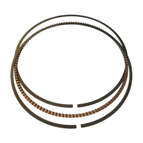 2a000739