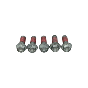 Rear Brake Disc Screws 2b002416