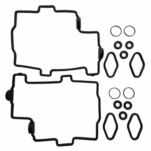 ASPKVGV4