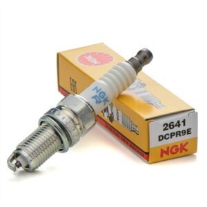 Candela NGK Dcpr9e