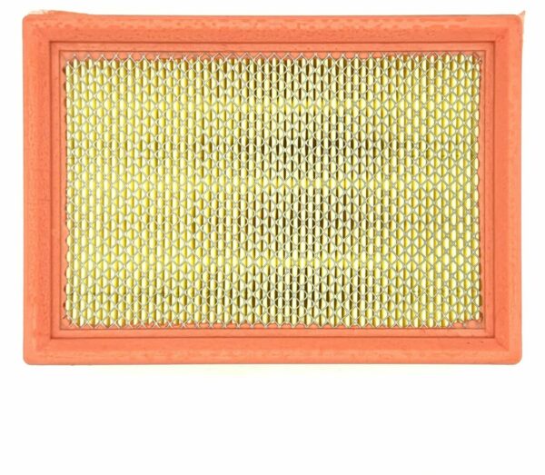Filtro Aria Originale Rsv Tuono Rsv4 R Tuono V4 Rxv Sxv AP8104329