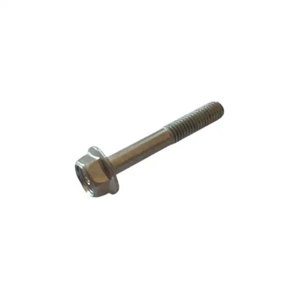 Vite piedino per forcelle Ohlins 2B006022